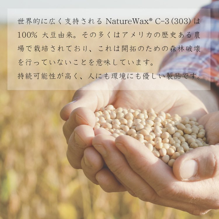 【業務用】Cargill NatureWax®️ [C-303] カーギル キャンドル用 ソイワックス [ソフトタイプ] ケース 12.5Kg