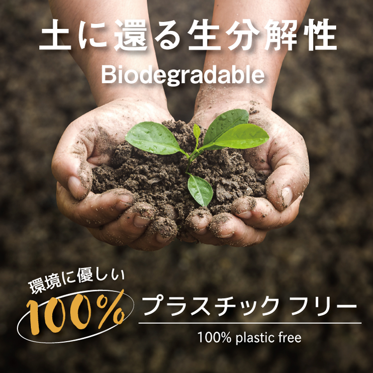 Sizzix Making Essential バイオデグレーダブル ファイングリッター [バレエシューズ] 12g