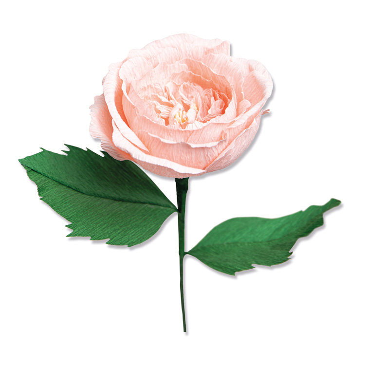 Sizzix シジックス シンリッツ ダイセット [ガーデンローズ] by Jess Slack