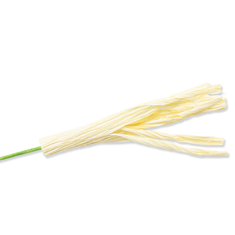 Sizzix シジックス シンリッツ ダイセット [ガーデンローズ] by Jess Slack