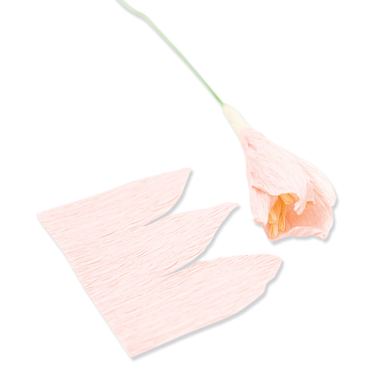 Sizzix シジックス シンリッツ ダイセット [ガーデンローズ] by Jess Slack