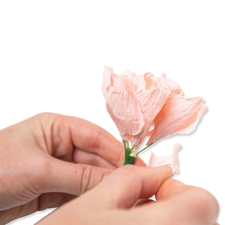 Sizzix シジックス シンリッツ ダイセット [ガーデンローズ] by Jess Slack