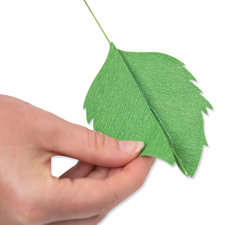 Sizzix シジックス シンリッツ ダイセット [ガーデンローズ] by Jess Slack